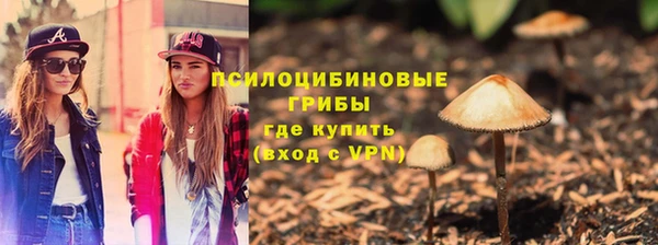 бутират Няндома