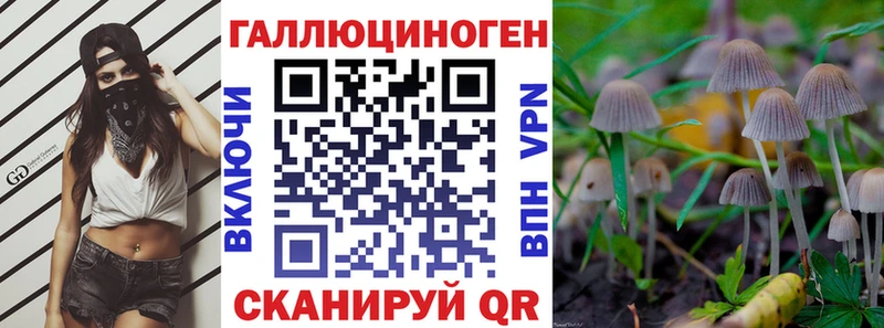 купить наркоту  hydra онион  Галлюциногенные грибы мухоморы  Мураши 