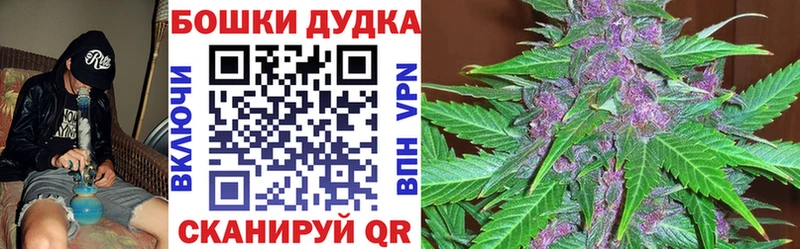 Бошки Шишки ГИДРОПОН Мураши
