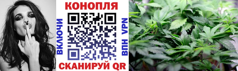 Бошки марихуана планчик  Мураши 